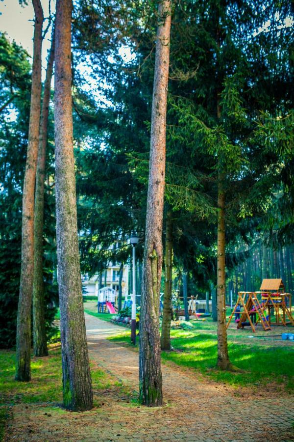 Dmuchawiec Лукенцин Екстер'єр фото